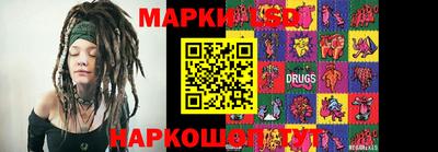 крисы Шахты