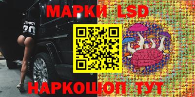 бошки Шебекино