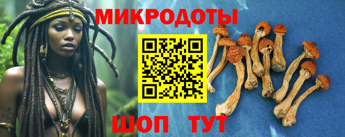 Псилоцибиновые грибы Мариинск